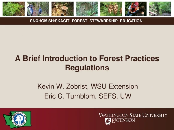 A Brief Introduction to Forest Practices Regulations