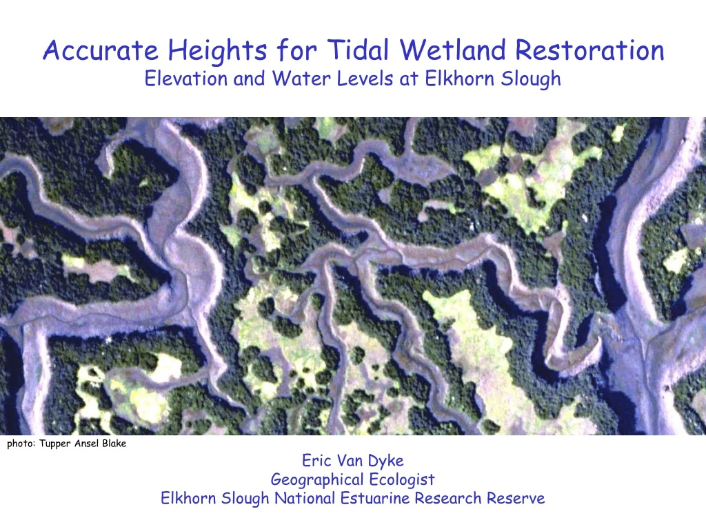 accurate heights for tidal wetland restoration elevation and water levels at elkhorn slough