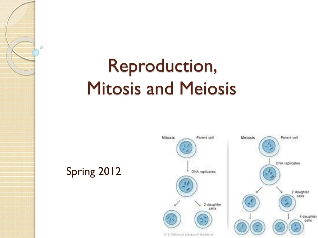 reproduction mitosis and meiosis