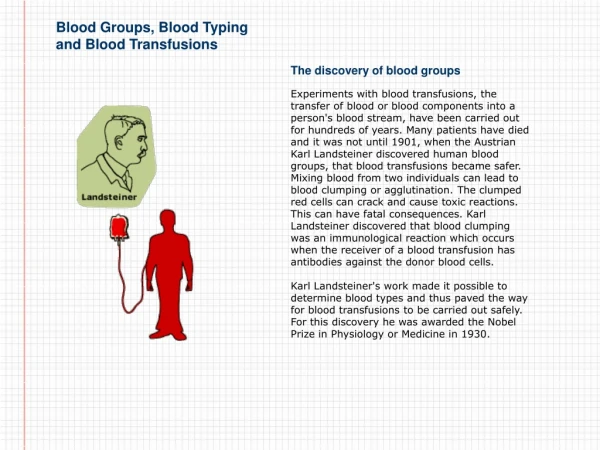 What is blood made up of?