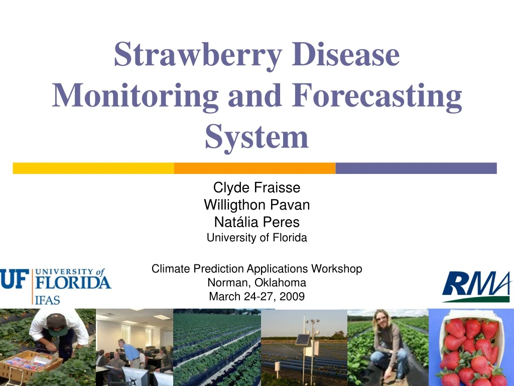 strawberry disease monitoring and forecasting
