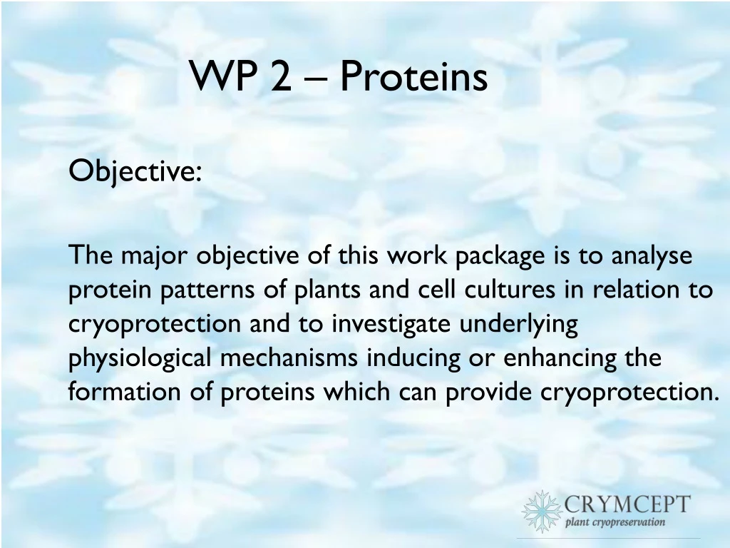 wp 2 proteins