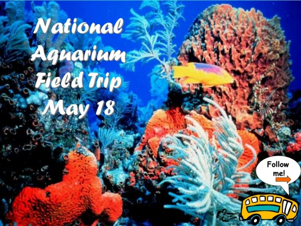 National Aquarium Field Trip May 18