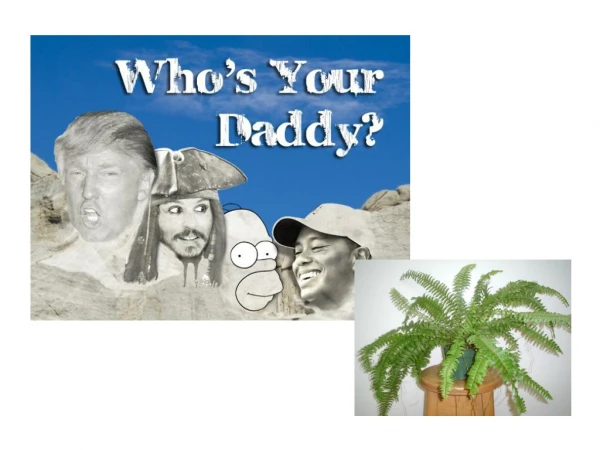 Who’s your Daddy? (Who’s your First Cousin)