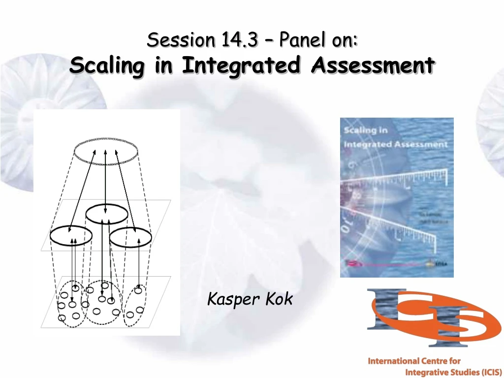 session 14 3 panel on scaling in integrated