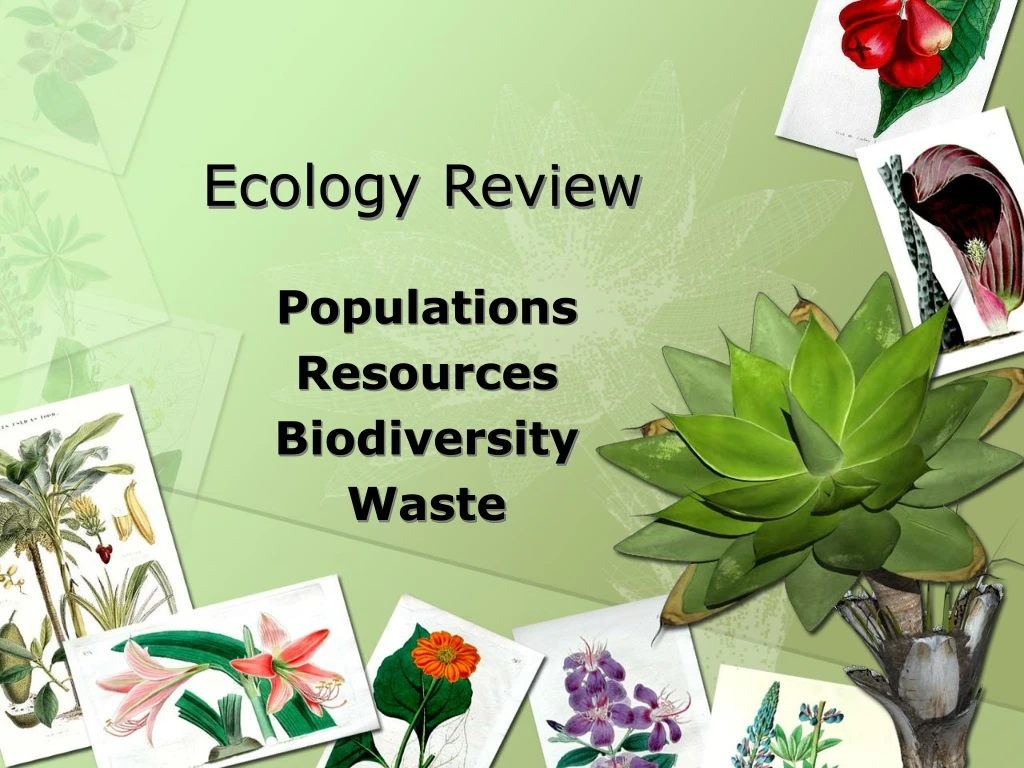 ecology review