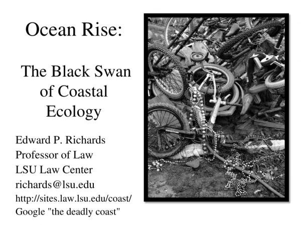 Ocean Rise:  The Black Swan of Coastal Ecology