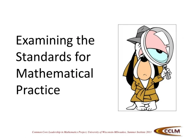 Examining the Standards for Mathematical Practice