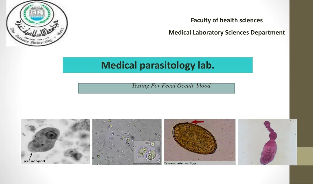 faculty of health sciences medical laboratory