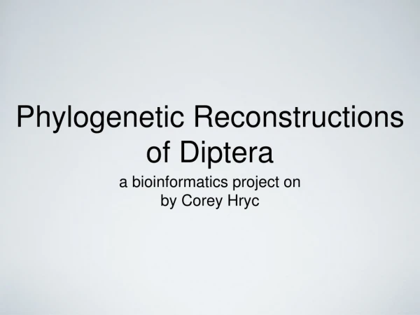 Phylogenetic Reconstructions of Diptera