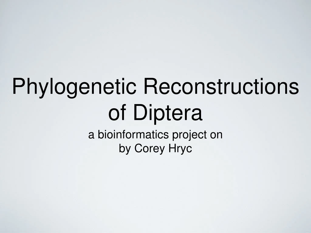 phylogenetic reconstructions of diptera