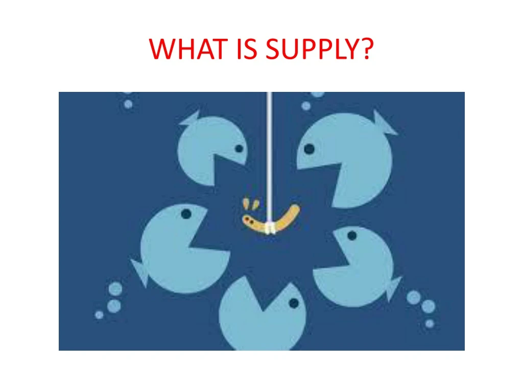 what is supply