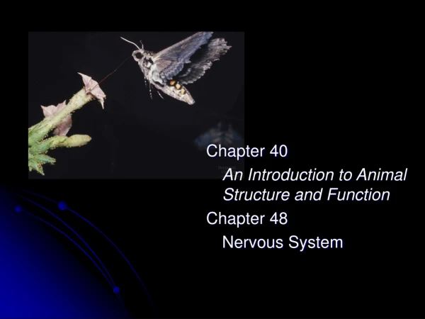 Chapter 40  	An Introduction to Animal Structure and Function Chapter 48 	Nervous System