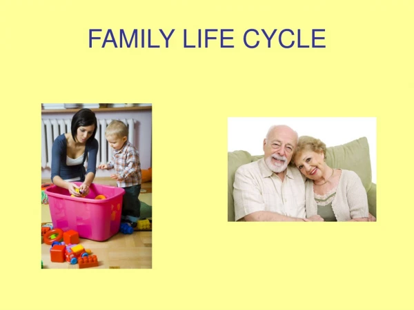 FAMILY LIFE CYCLE