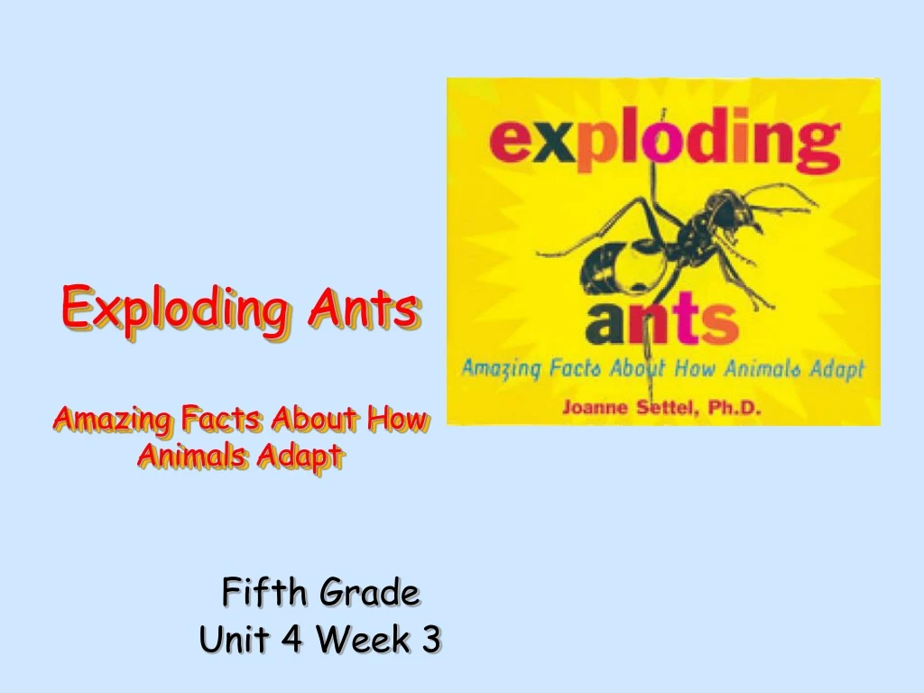 exploding ants amazing facts about how animals adapt