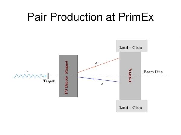 Pair Production at PrimEx