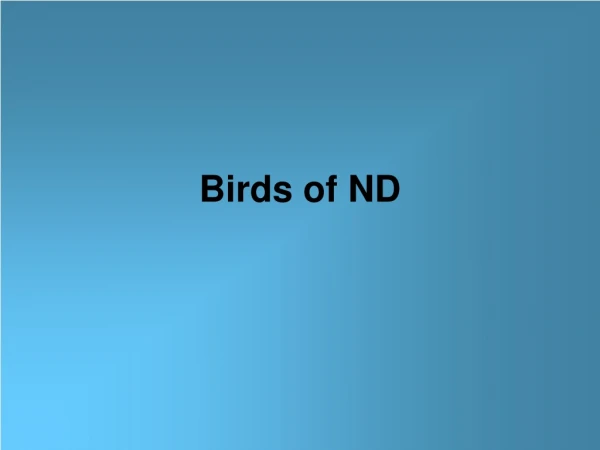 Birds of ND