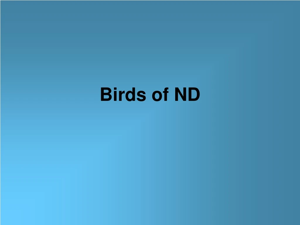 birds of nd