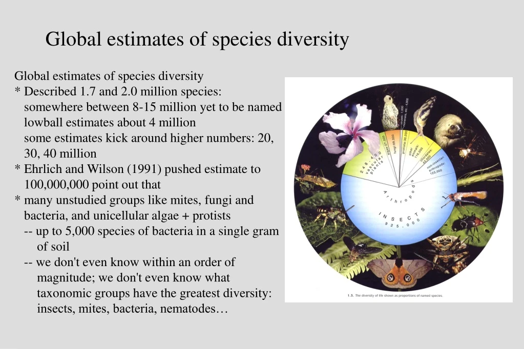 global estimates of species diversity