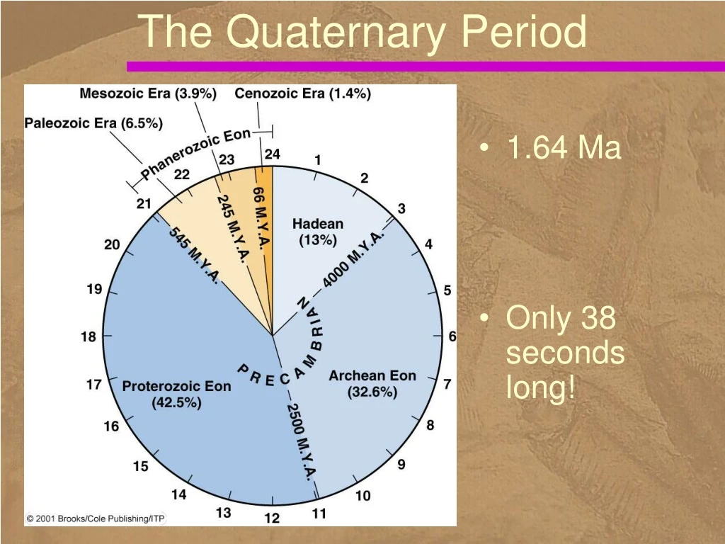 the quaternary period