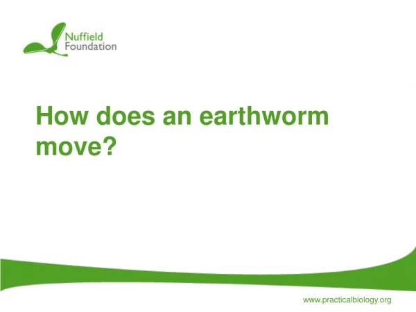 How does an earthworm move?