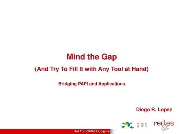 Mind the Gap (And Try To Fill It with Any Tool at Hand) Bridging PAPI and A pplications