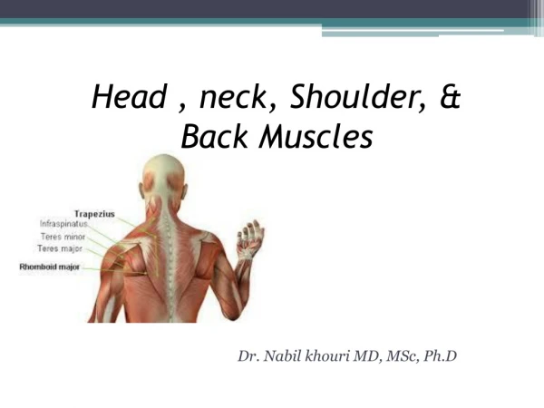 Head , neck, Shoulder, &amp; Back Muscles