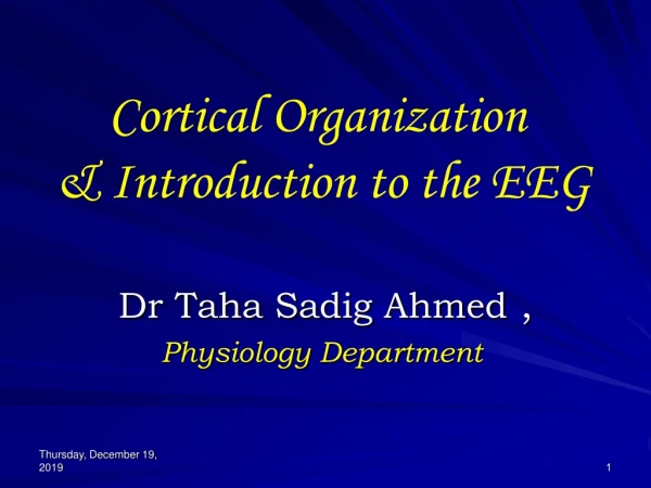 Cortical Organization  &amp; Introduction to the EEG
