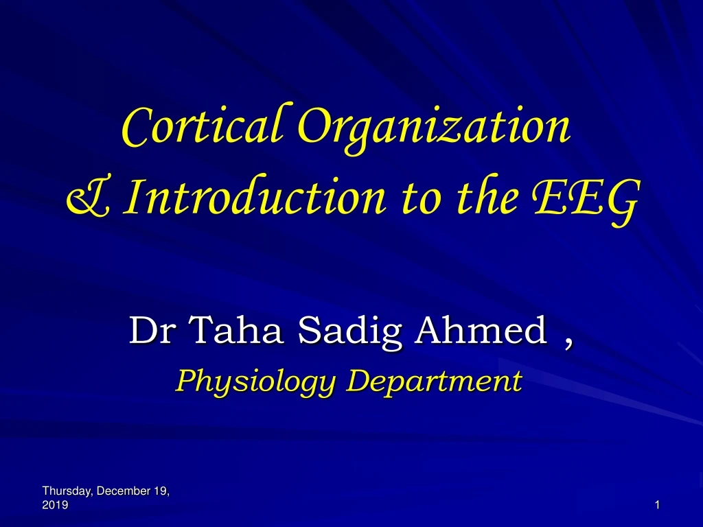 cortical organization introduction to the eeg