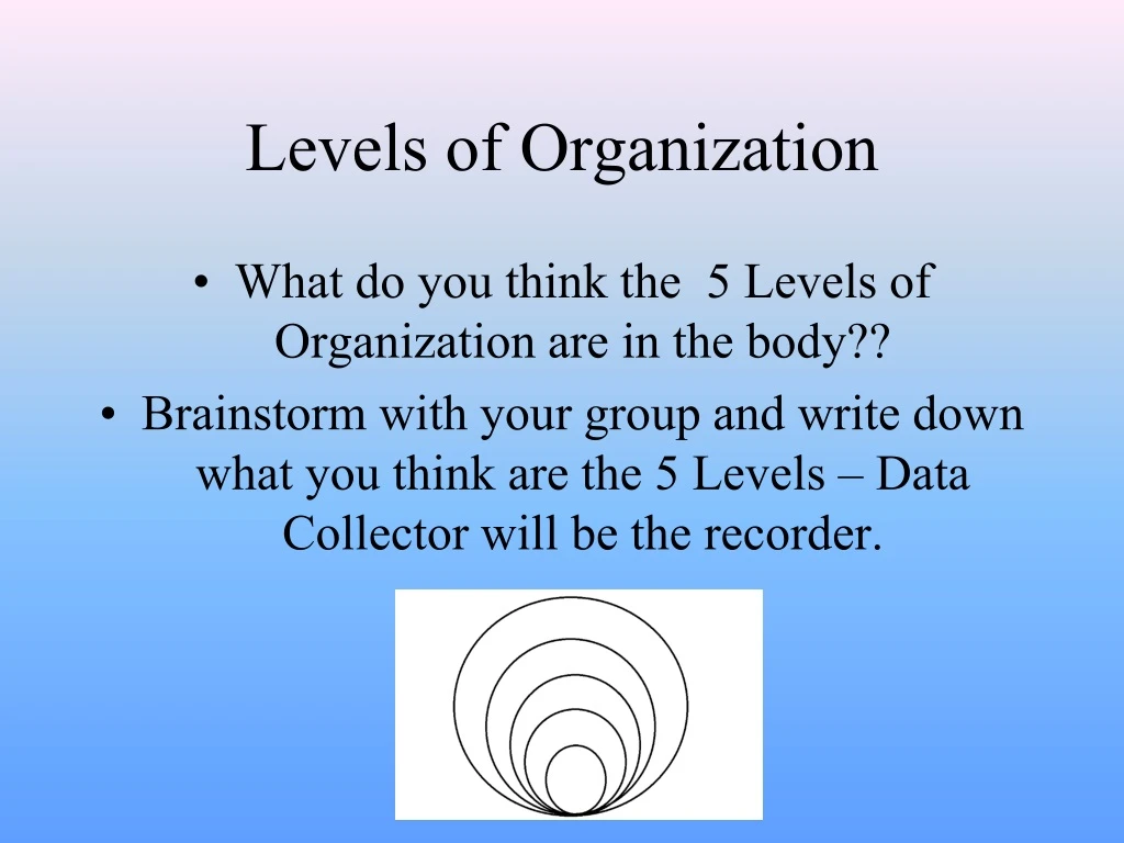 levels of organization