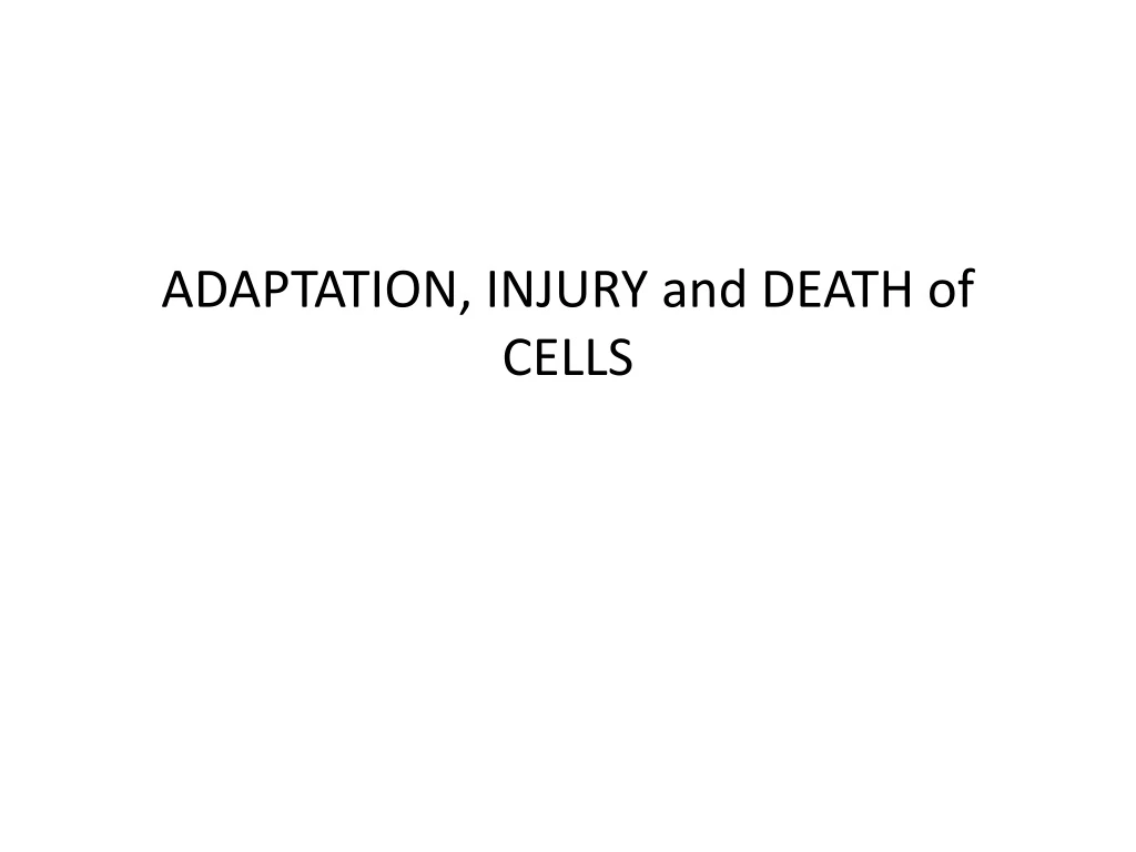 adaptation injury and death of cells