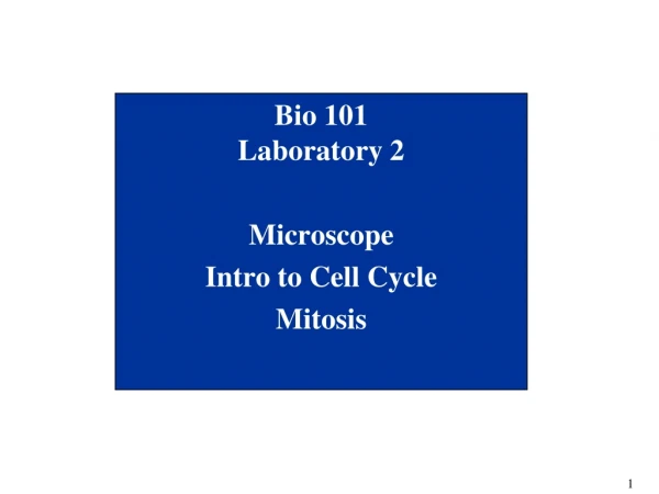 Bio 101 Laboratory 2 Microscope Intro to Cell Cycle Mitosis
