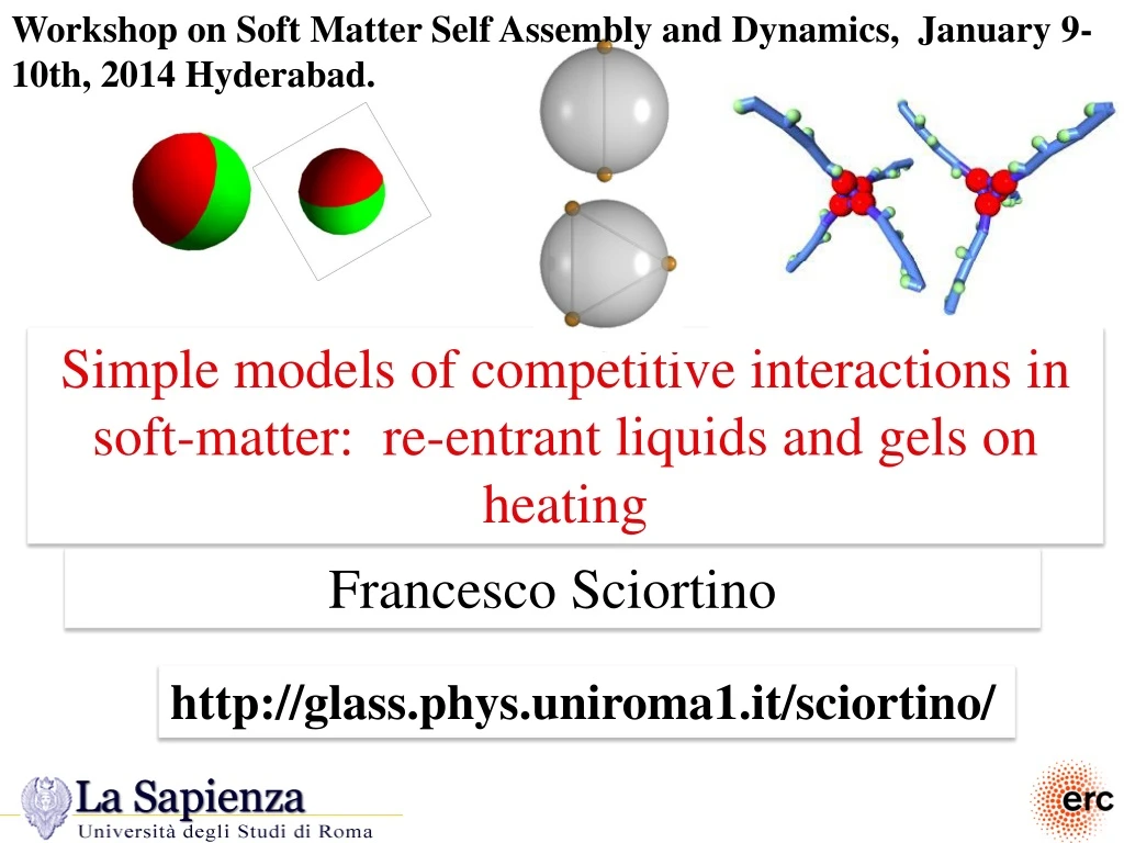 workshop on soft matter self assembly