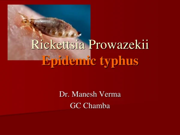 Rickettsia Prowazekii Epidemic typhus