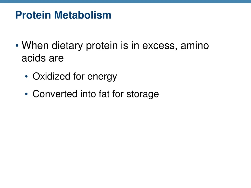 protein metabolism