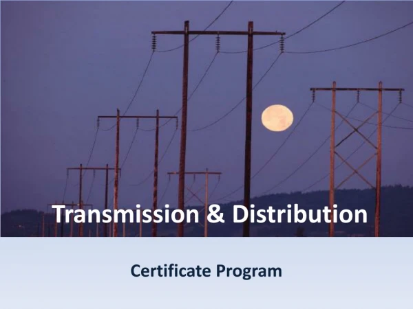 Transmission &amp; Distribution