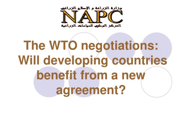 The WTO negotiations:  Will developing countries benefit from a new agreement?