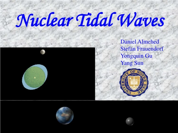 Nuclear Tidal Waves
