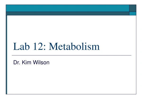 Lab 12: Metabolism