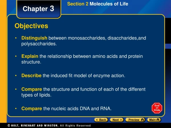 Section 2  Molecules of Life