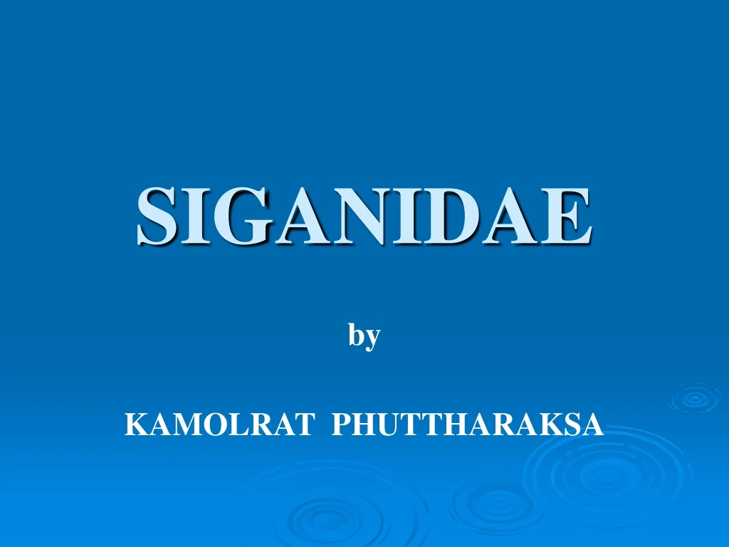 siganidae