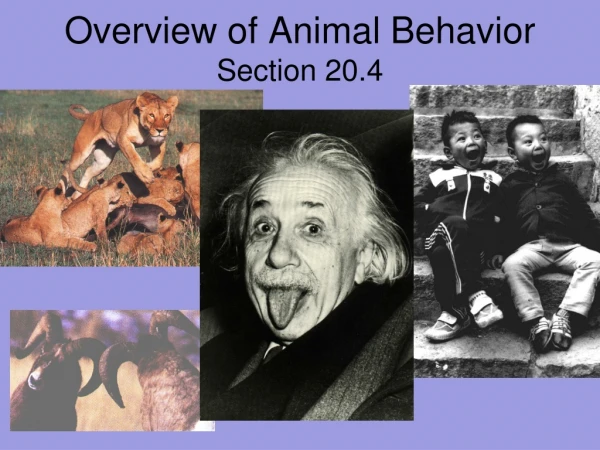 Overview of Animal Behavior Section 20.4