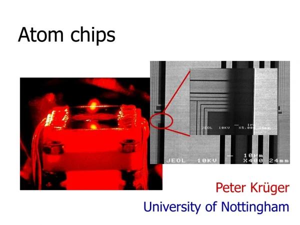 Atom chips