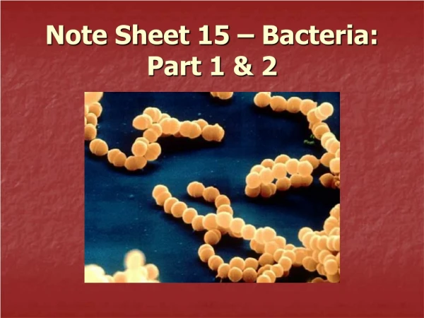 Note Sheet 15 – Bacteria: Part 1 &amp; 2