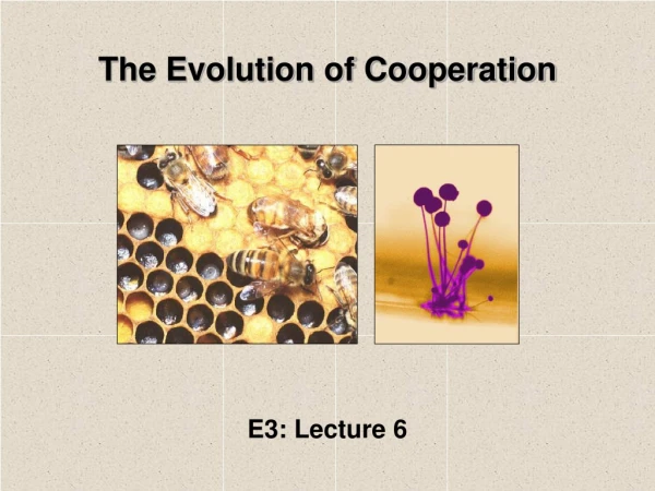 The Evolution of Cooperation