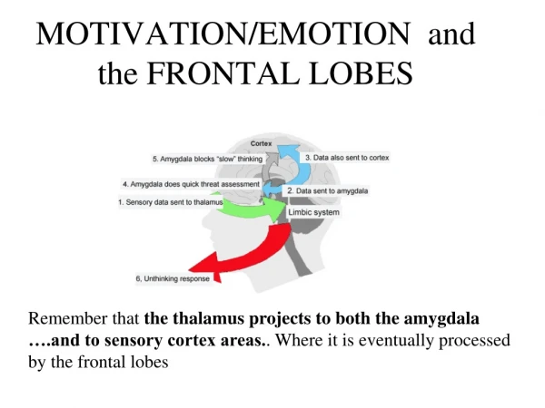 MOTIVATION/EMOTION  and the FRONTAL LOBES