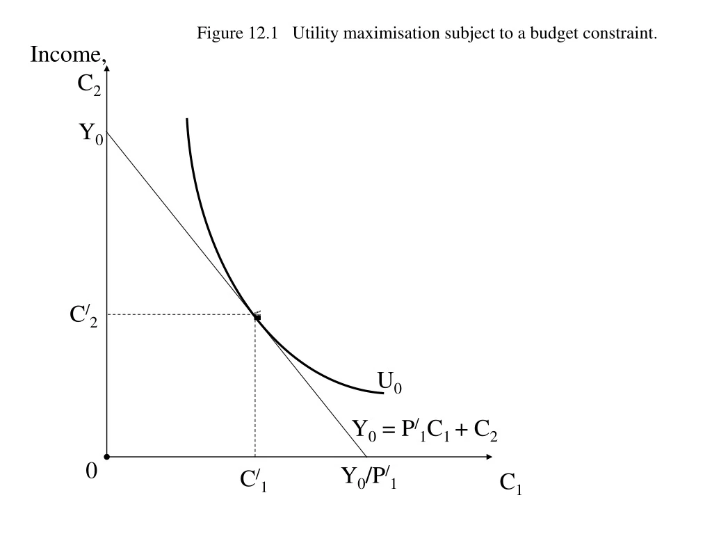 figure 12 1 utility maximisation subject