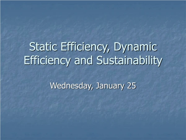 Static Efficiency, Dynamic Efficiency and Sustainability