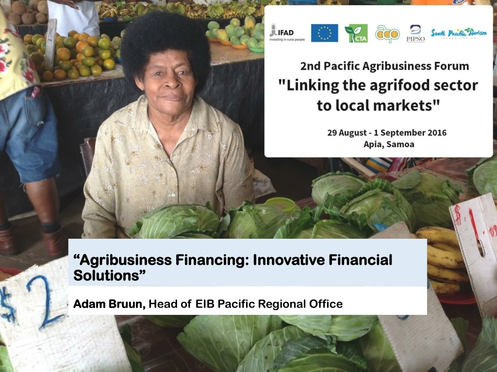 agribusiness financing innovative financial solutions