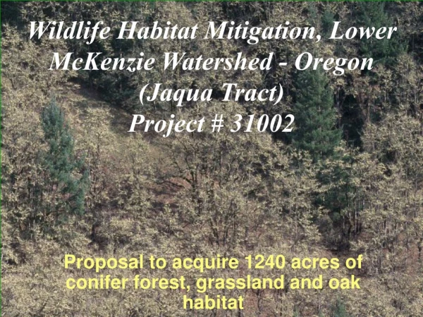 Wildlife Habitat Mitigation, Lower McKenzie Watershed - Oregon  (Jaqua Tract) Project # 31002